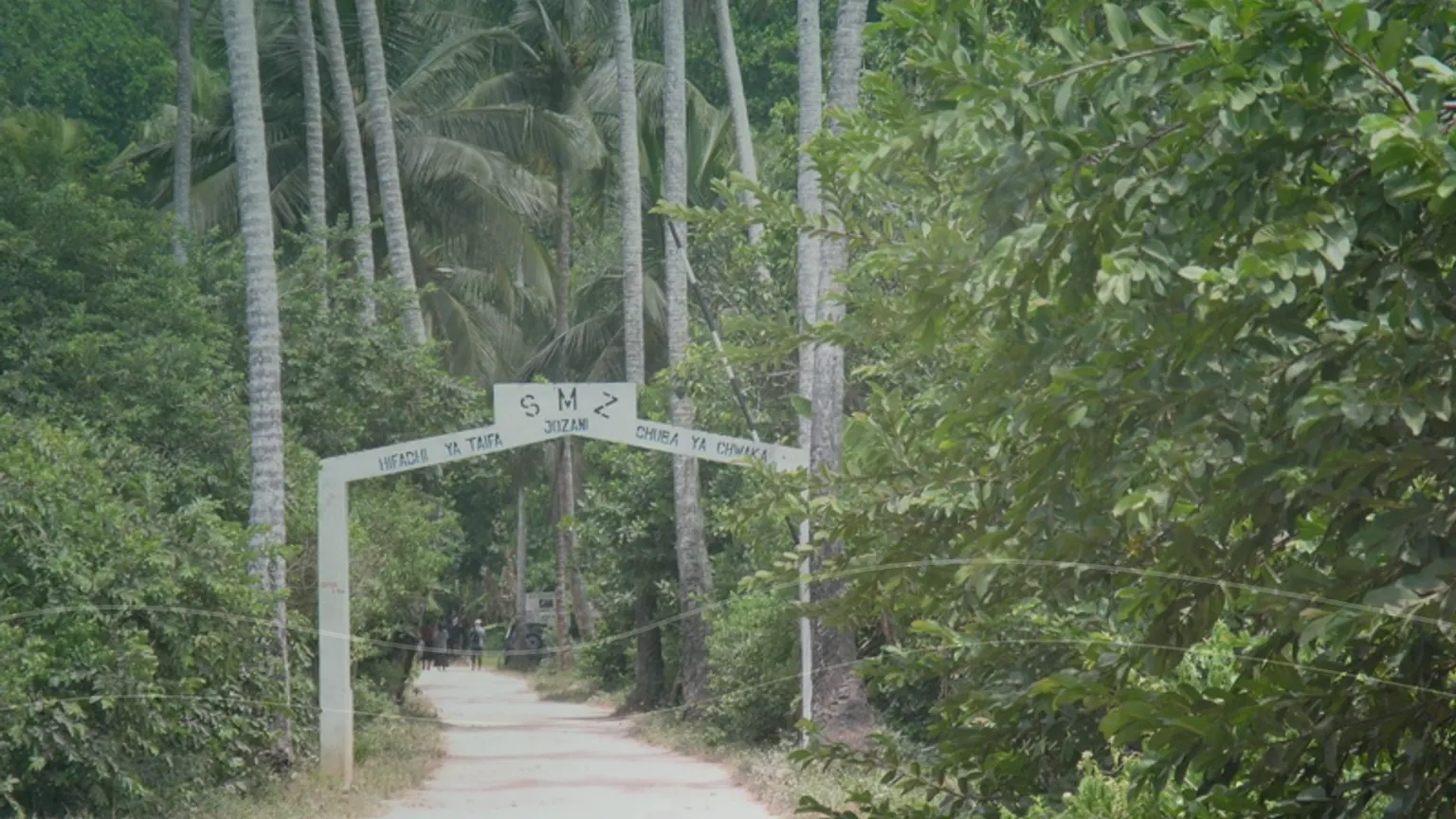 Passadiço na vegetação de Jozani Forest em Zanzibar