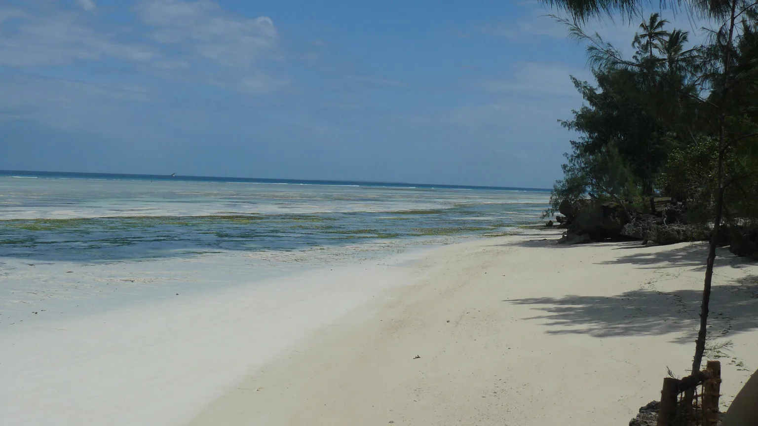 Praia real de Zanzibar com sombra e oceano ao fundo